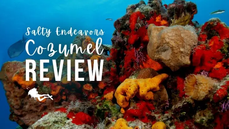 A colourful underwater reef scape in Cozumel with red and orange corals. Overlaid white text reads 