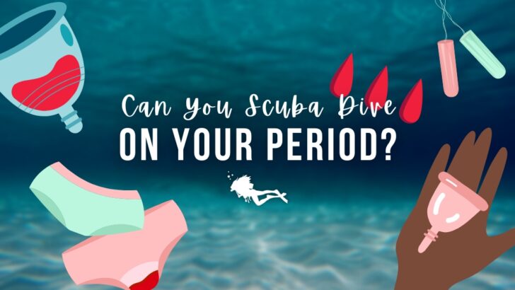Illustrations of a menstrual cup, a black hand holding a pink menstrual cup, underwear, tampons, and blood drops are laid over a blurred ocean background. Overlaid white text reads 