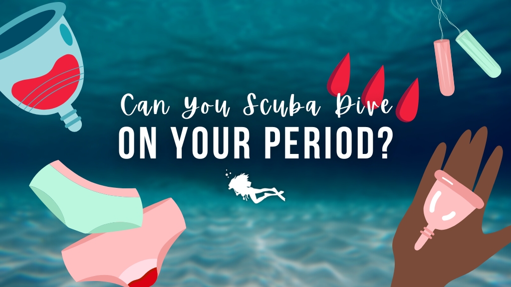 Can You Scuba Dive on Your Period? - Facts, Advice, & Myths