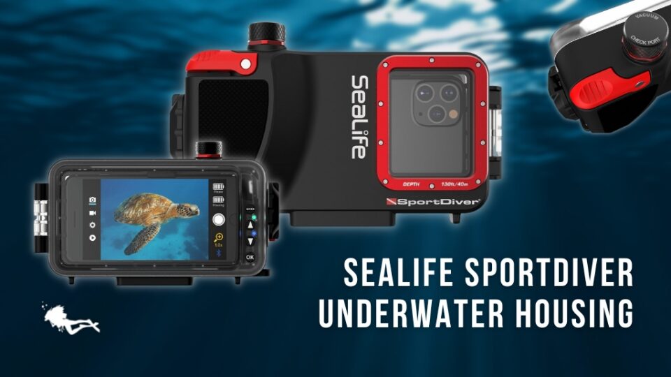 Best Underwater Phone Cases for Divers