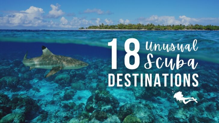 18 Unusual Dive Destinations to Visit