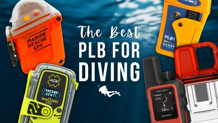Four brightly coloured personal locator beacon devices over a blurred underwater background. Overlaid white text reads "The best PLB for diving"