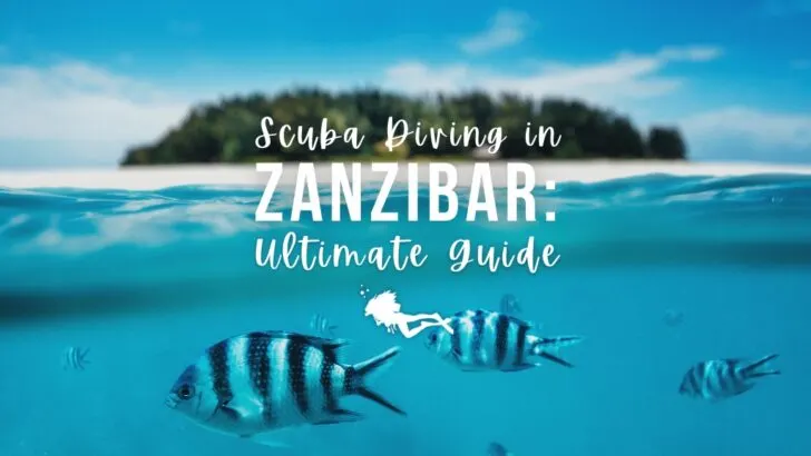 Split image above and below water's surface, with a lush green island and white beach above, and small striped fish below in bright turquoise water. Overlaid white text reads "Scuba Diving in Zanzibar: Ultimate Guide"
