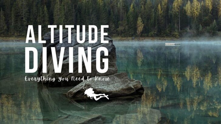 Alpine lake Caumasee, with turquoise water reflecting olive-coloured pine trees and a large rock coming out of the water. Overlaid white text reads "altitude diving: everything you need to know"