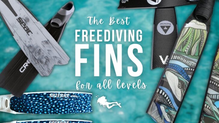 Selection of freediving fins laid over a blurred turquoise ocean background, white text reads 