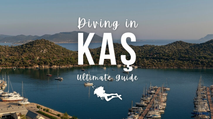 Kaş Scuba Diving – The Ultimate Guide