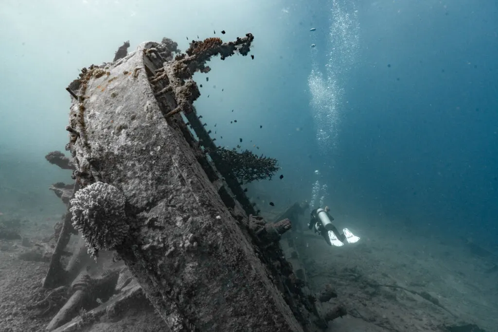 Andi is diving in Vanuatu. She swims away from the camera in the distance. She is wearing a white mask and fins with black equipment. A large shipwreck lays on the seabed to her left at a 45 degree angle.