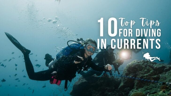 A woman scuba diving in current using a reef hook smiles at the camera. Overlaid white text reads 