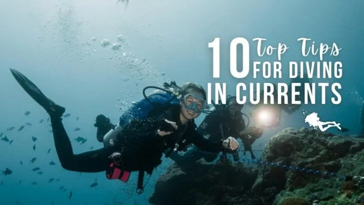 A woman scuba diving in current using a reef hook smiles at the camera. Overlaid white text reads 