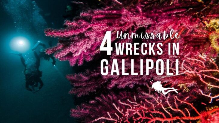 Scuba Diving in Gallipoli – 4 Unmissable Wrecks