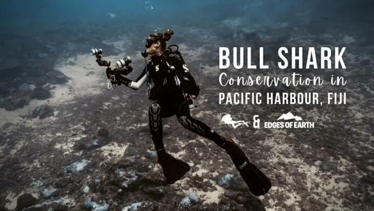 A woman scuba diver swims on her back to the left of the image, across a sandy underwater environment. She carries a large underwater camera. Overlaid white text reads "Bull shark conservation in Pacific Harbour, Fiji"