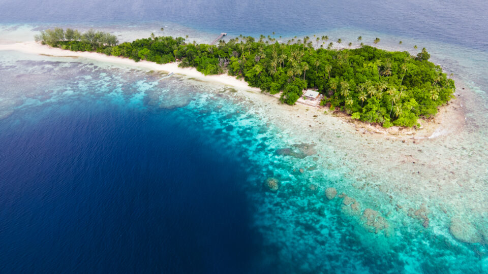 Diving Gizo Women Pioneering Conservation in the Solomons