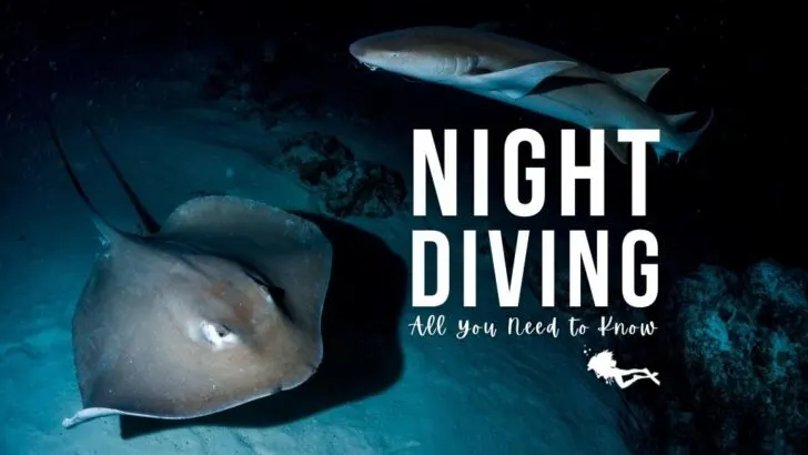 A large round stingray swims across the seabed in dark water, and a nurse shark swims above. Overlaid white text reads 