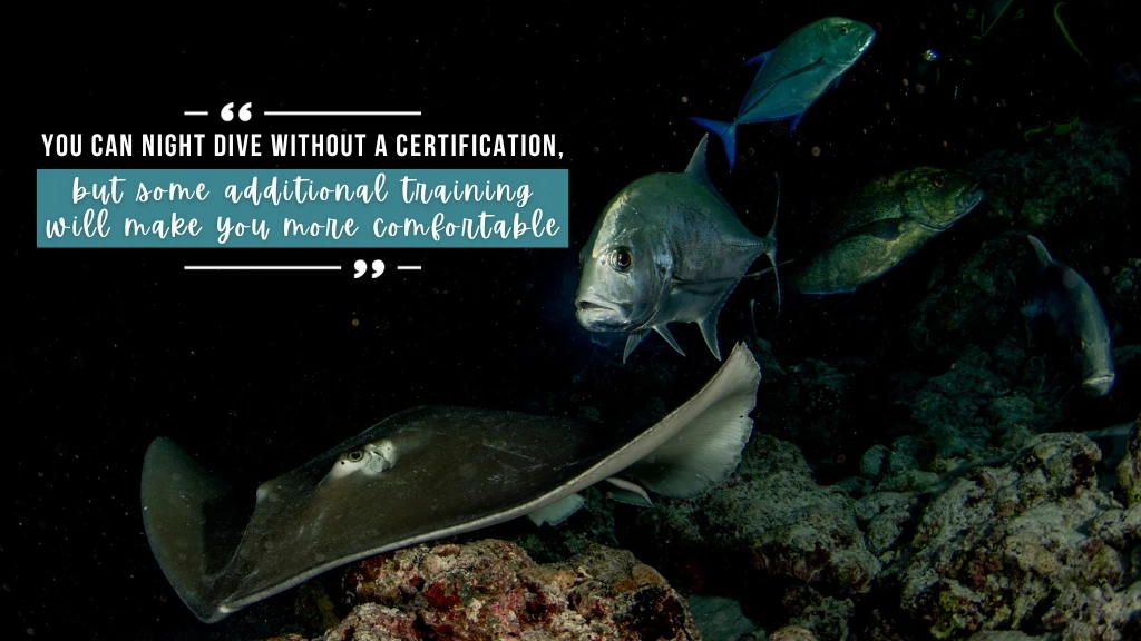 A stingray and four bluefin trevally swim towards the camera in black, night water. Overlaid white text quotes the article below.