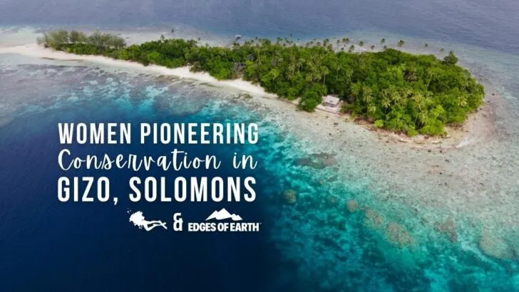 Aerial view of an idyllic small island - bright white sand, lush greenery, surrounded by turquoise ocean. Overlaid white text reads "Women pioneering conservation in Gizo, Solomons"