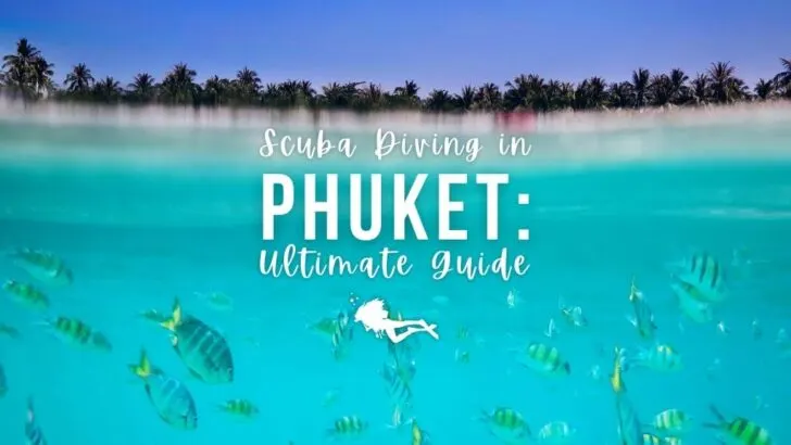 A spit image above and underwater with vibrant white beach and turquoise water. Grey and yellow striped Indo-Pacific Sergeant fish swim around the water. Overlaid white text reads "Scuba diving in Phuket: Ultimate Guide"