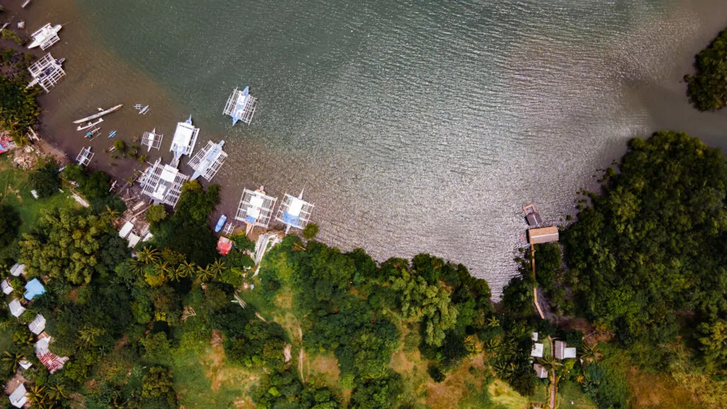 An overhead image of Negros Oriental. Lush greenery surrounds a shoreline, with traditional white fishing boats on the shore.