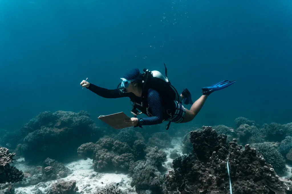 A scuba diver swims over corals in deep blue water. She is carrying a slate for underwater notes. 