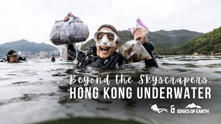 Beyond the Skyscrapers – Hong Kong Underwater