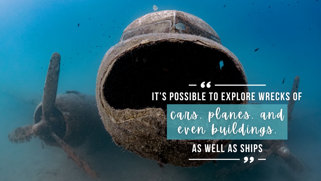 The wreck of a plane stands in bright blue ocean planted in a sandy bottom. Overlaid white text quotes the article. 