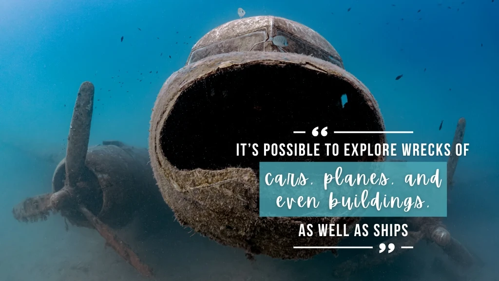 The wreck of a plane stands in bright blue ocean planted in a sandy bottom. Overlaid white text quotes the article.