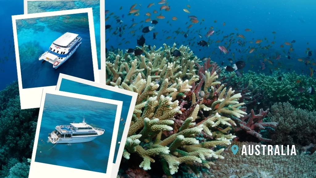 A reef scene in the Great Barrier Reef, with staghorn corals and lots of small reef fish. Inset images, motor catamaran liveaboards on the GBR.