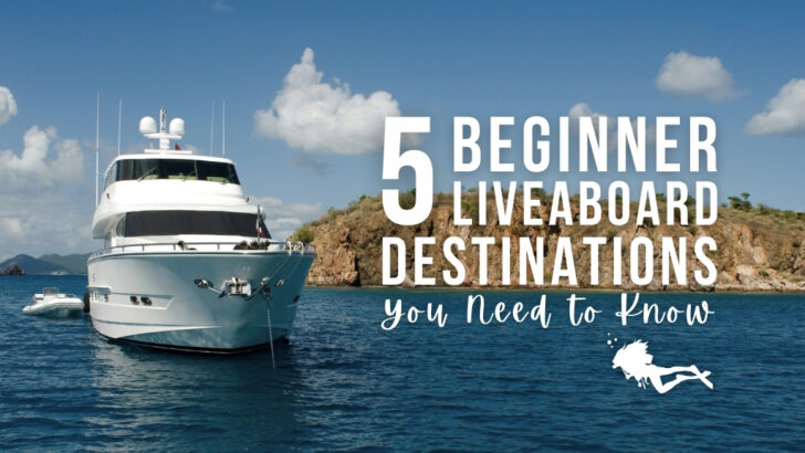 A large scuba diving boat on bright blue water in a tropical destination. Overlaid white text reads "5 beginner liveaboard destinations you need to know"