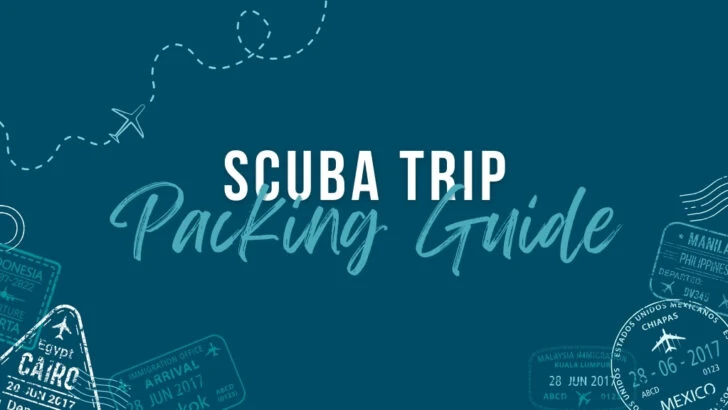 Protected: Your FREE Scuba Trip Packing Guide